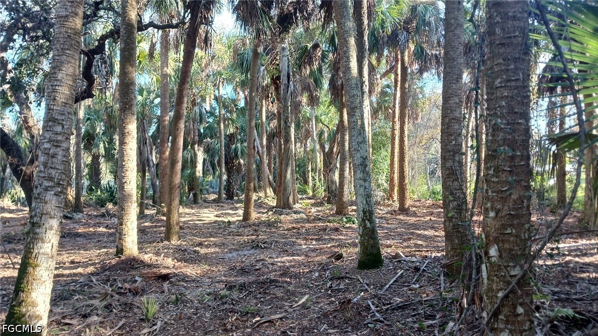 16470 B2 Daughtreys Creek