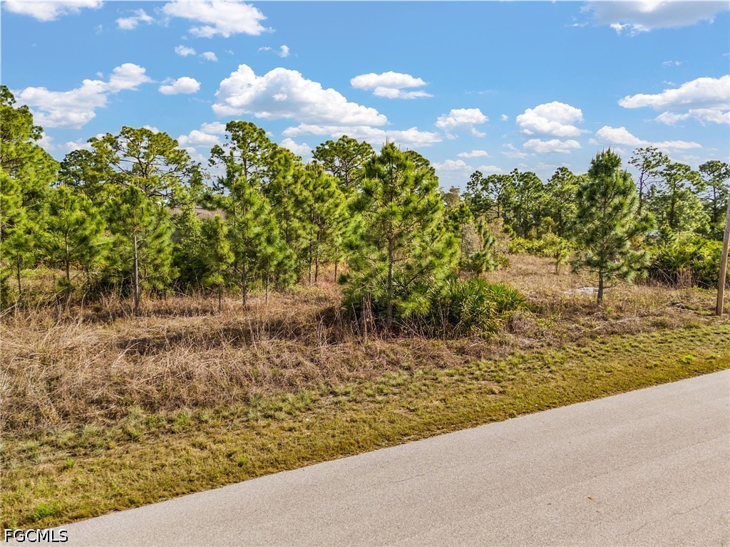 1113 Darling Street E