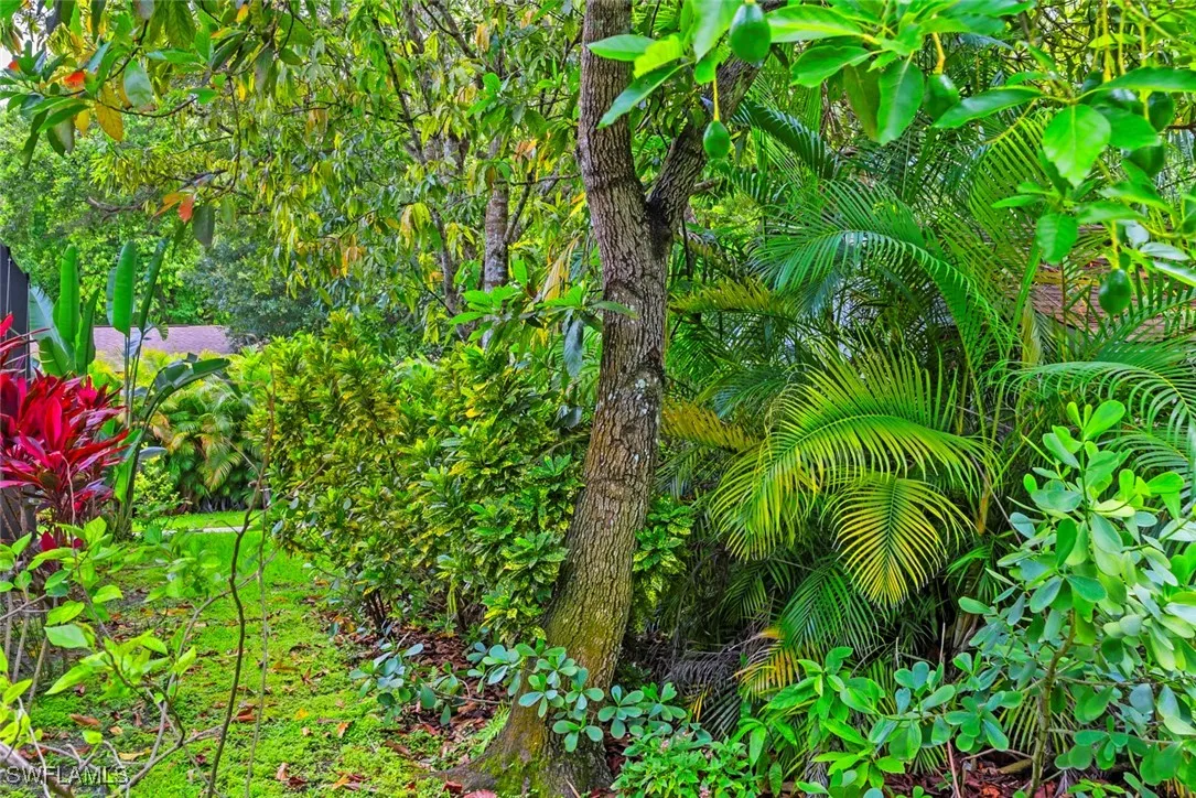 Naples, Florida, 34116, United States, 5 Bedrooms Bedrooms, ,5 BathroomsBathrooms,Residential,Active,2001316