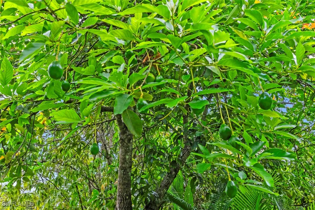 Naples, Florida, 34116, United States, 5 Bedrooms Bedrooms, ,5 BathroomsBathrooms,Residential,Active,2001316