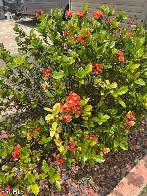 Tiny photo for 10268 Meadow Beauty Trail, Fort Myers, FL 33905 (MLS # 2026039592)