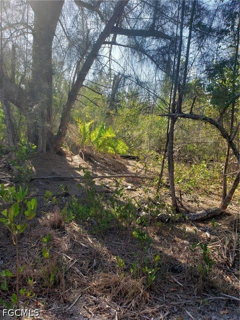 Tiny photo for TBD Masters Landing Drive, Other, FL 33956 (MLS # 2026031044)