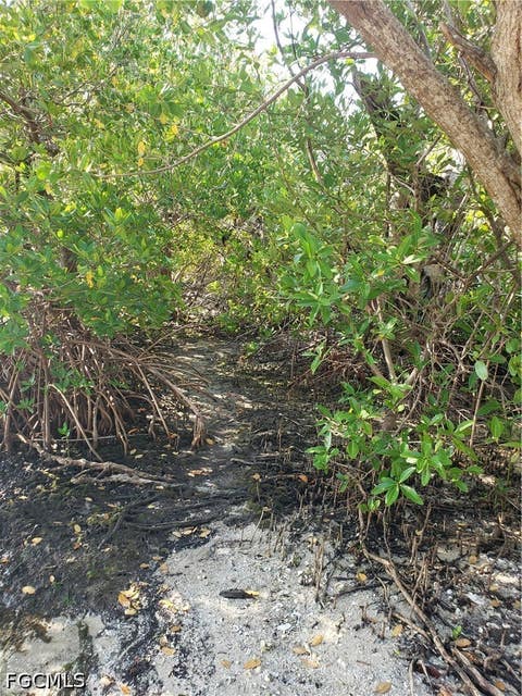 Tiny photo for TBD Masters Landing Drive, Other, FL 33956 (MLS # 2026031044)