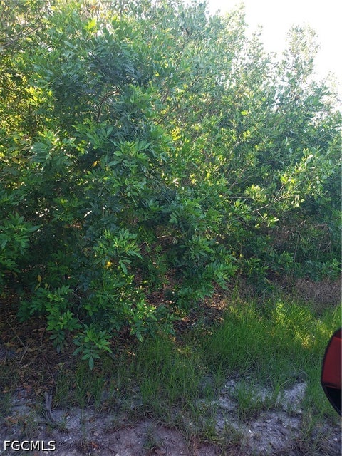Tiny photo for TBD Masters Landing Drive, Other, FL 33956 (MLS # 2026031044)