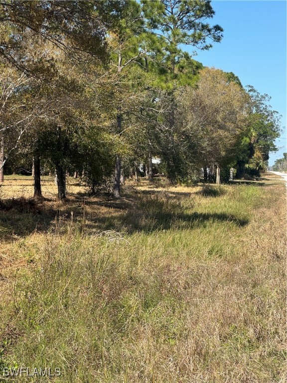 593 Hunting Club Avenue