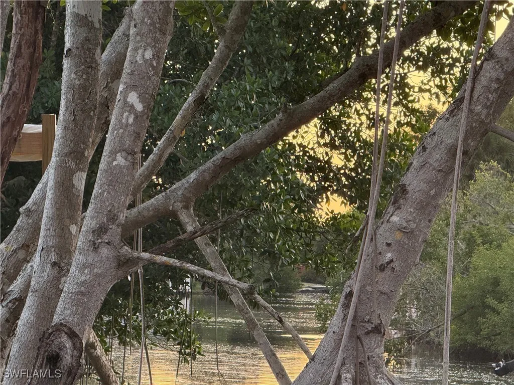 Naples, Florida, 34114, United States, ,Land,Active,1998097