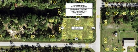 Photo of 11391 Pampas Street, Punta Gorda, FL 33955 (MLS # 2026020454)