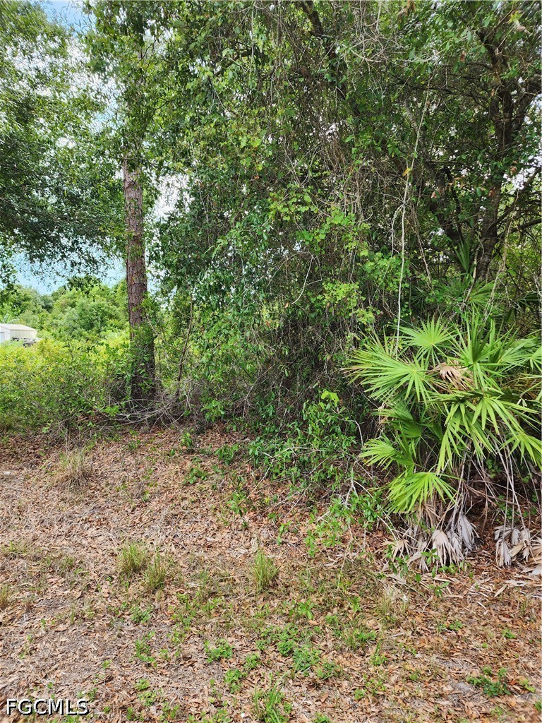 Photo 1 of 2 — 1114 MCKINLEY Avenue, Lehigh Acres, FL 33972