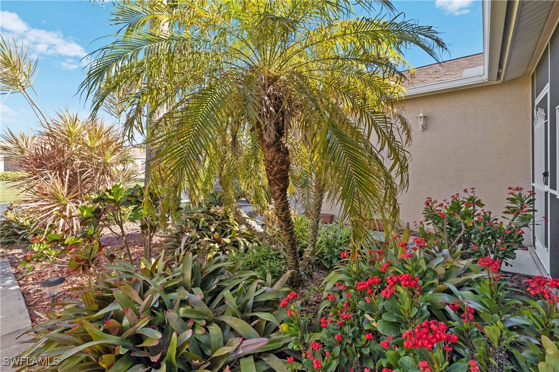 14217 Prim Point Lane
