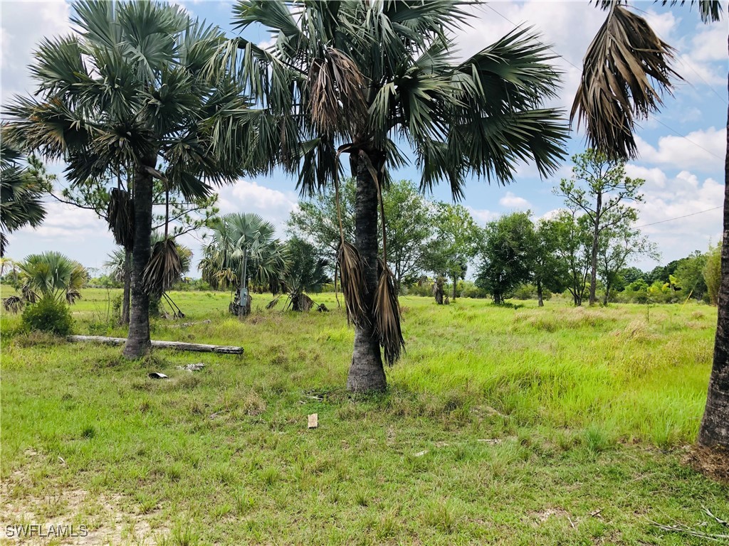 20501 Williams Drive