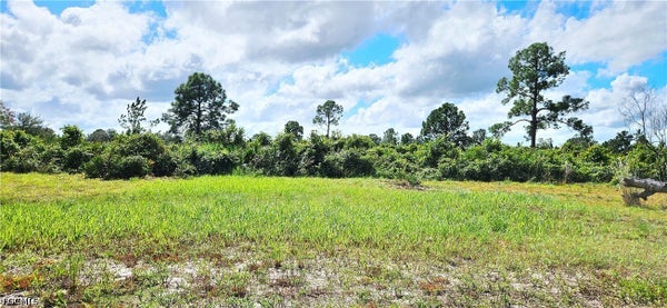 1711 COMANCHE TRL, LABELLE, FL 33935 - Image 8ec52332d84cd12876d15bc9f76a96ad/1916228751