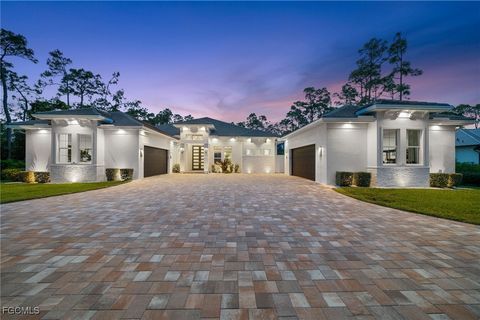 24132 Dietz Drive Bonita Springs FL 34135