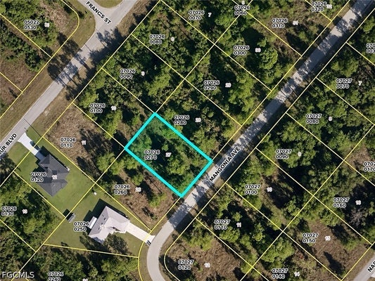 350 MANGONIA AVE, LEHIGH ACRES, FL 33974 - Image 8ee9fe95e5e4a2fb5b6054815ea1aede/2349706566