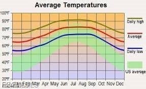 343 Pinehurst Avenue