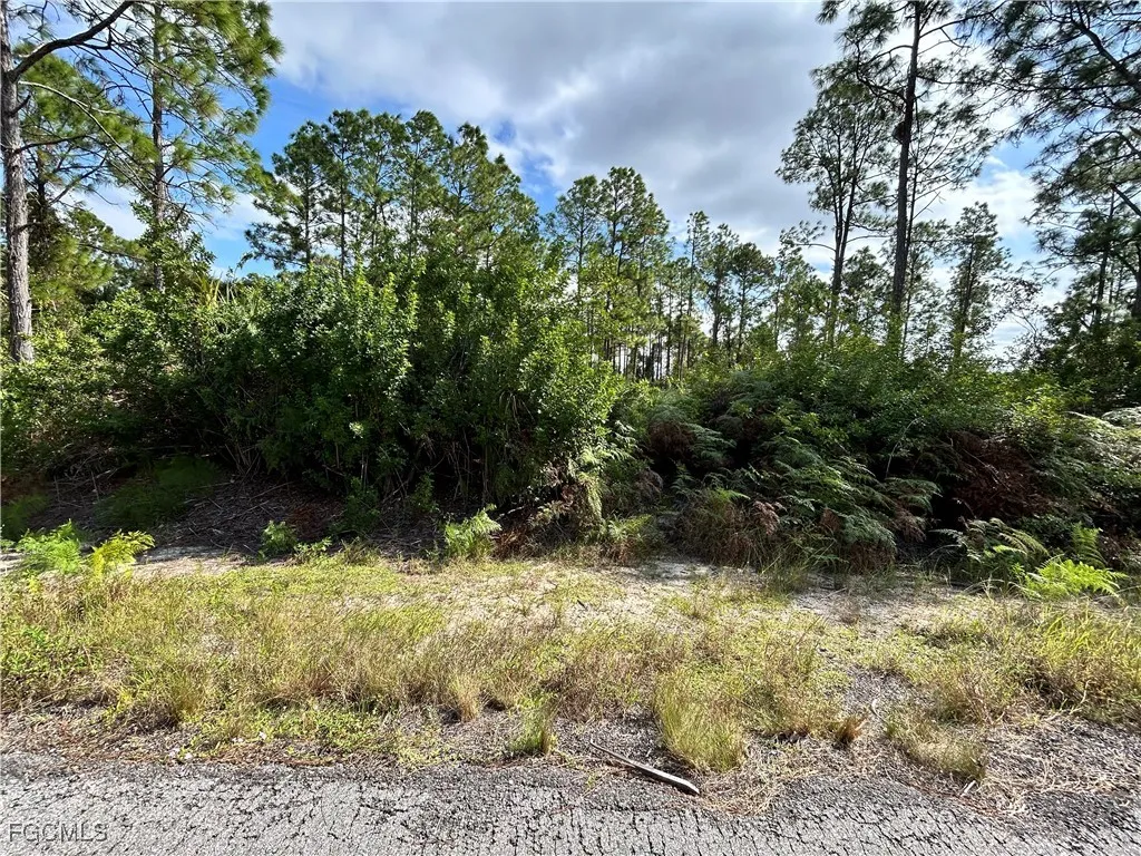 Lehigh Acres, Florida 33972, United States, ,Land,Active,243726