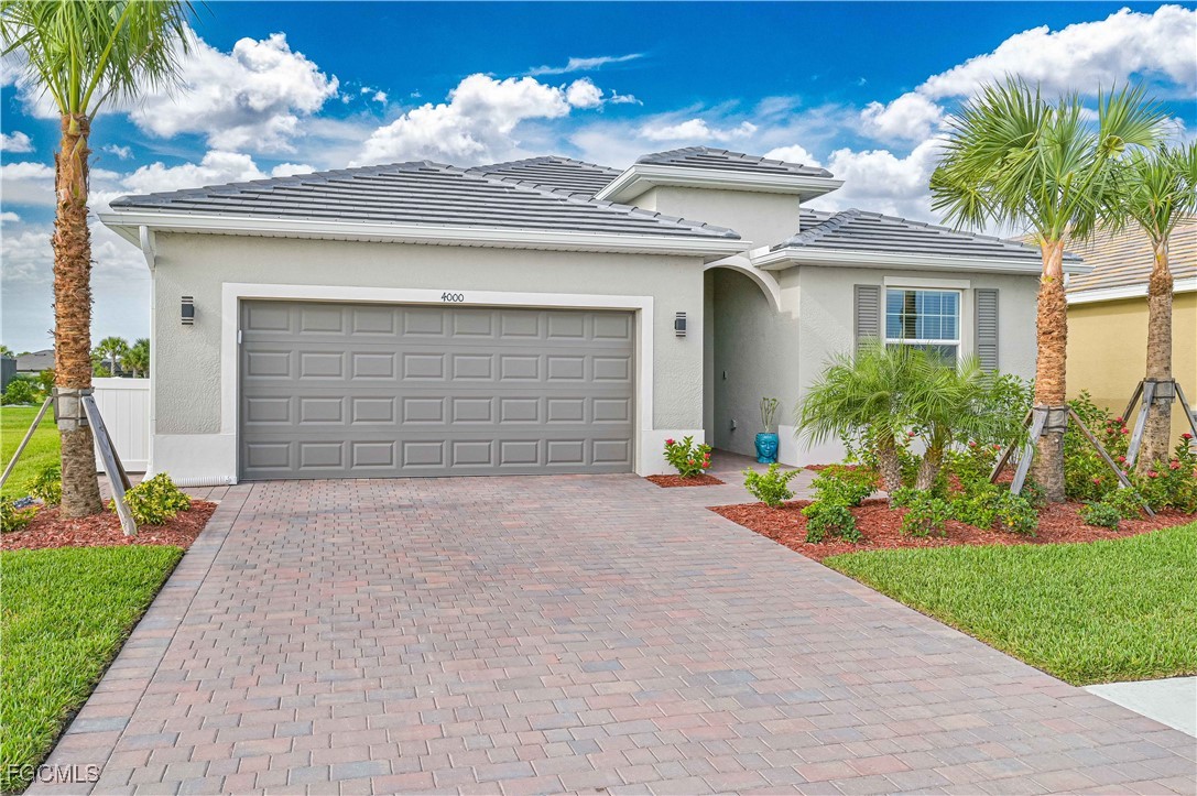 4000 Sweet Alyssum Terrace