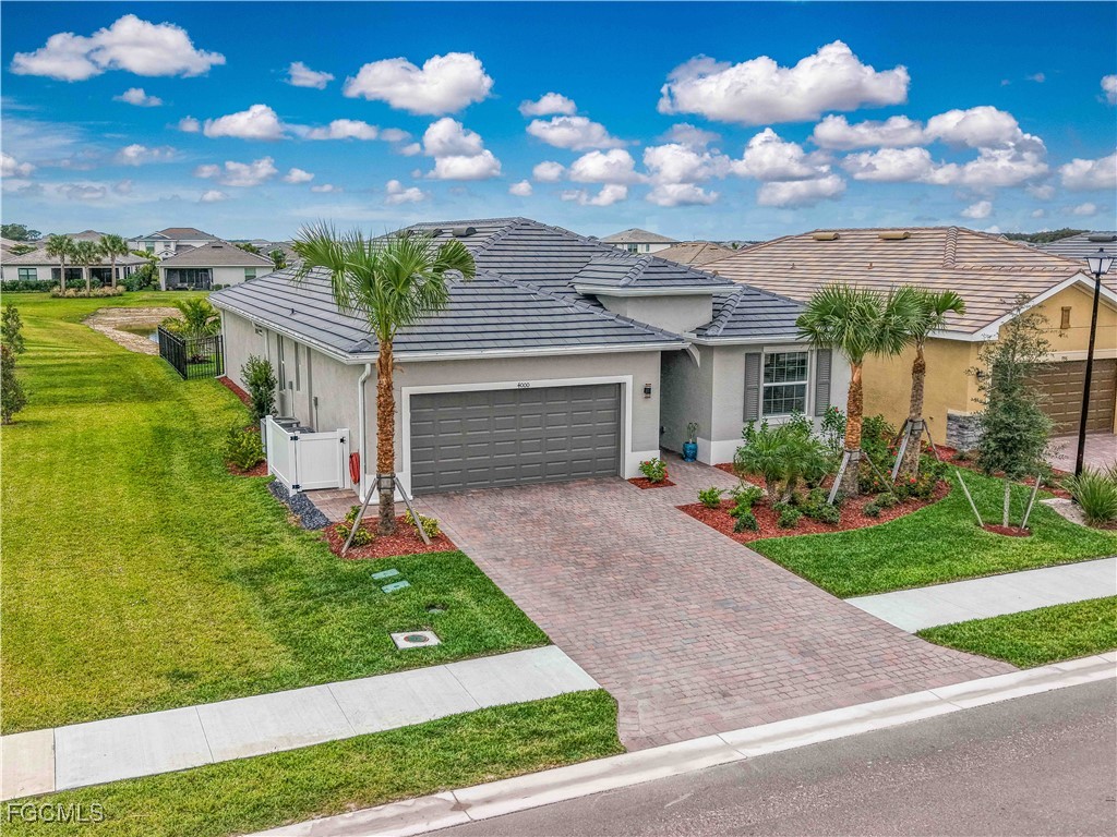 4000 Sweet Alyssum Terrace