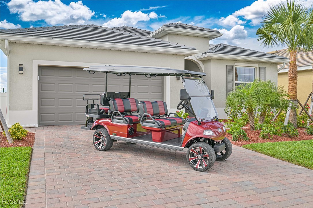 4000 Sweet Alyssum Terrace