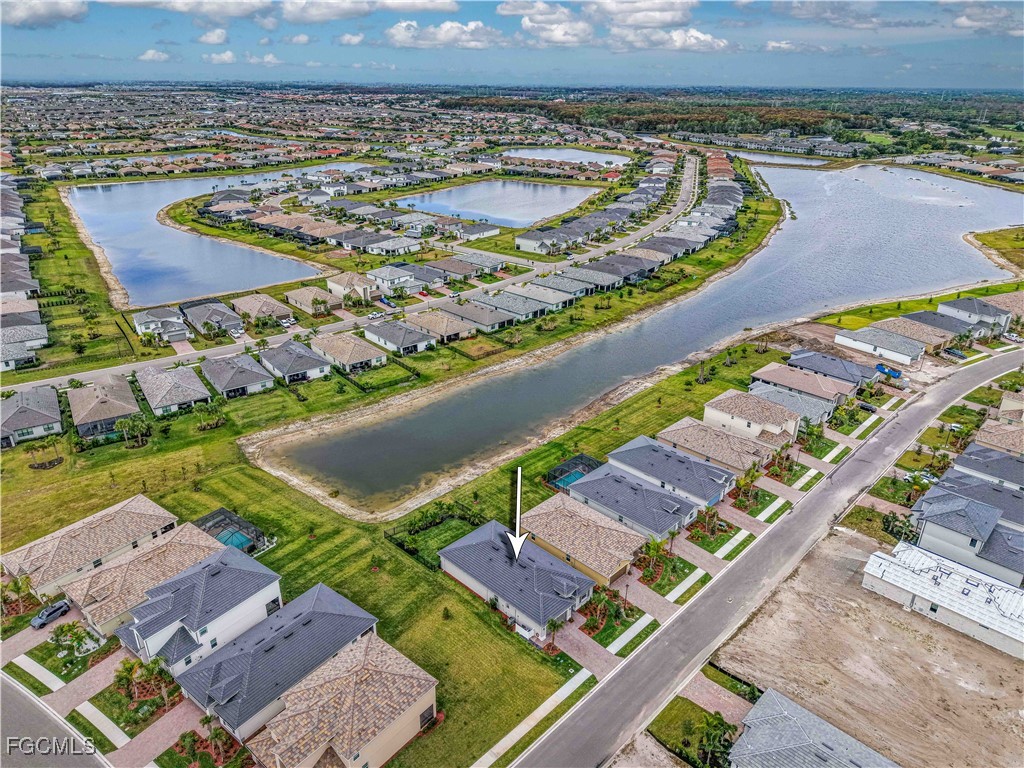 4000 Sweet Alyssum Terrace