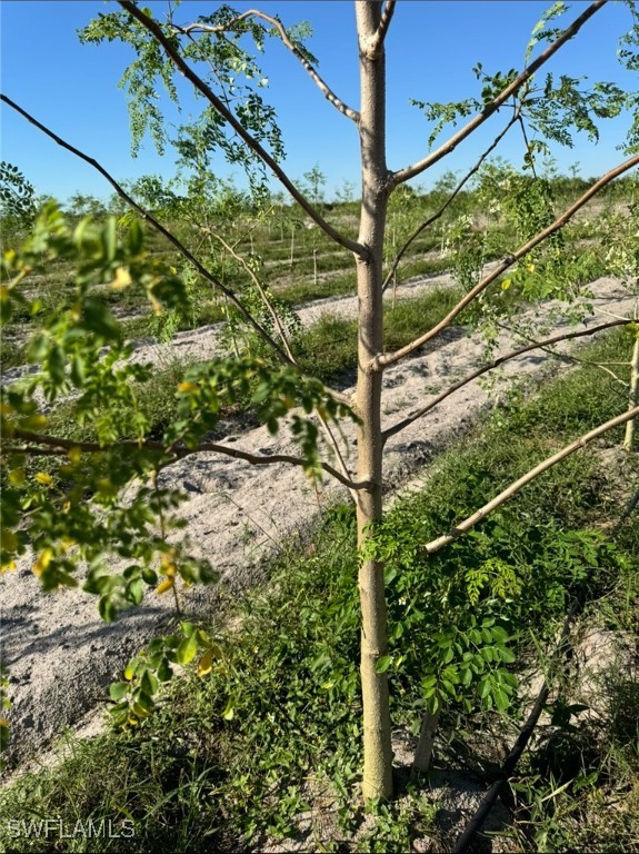 4276 2nd Road