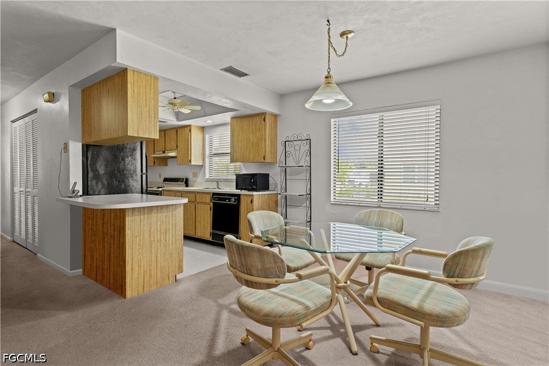 1113 Cape Coral Parkway W 103