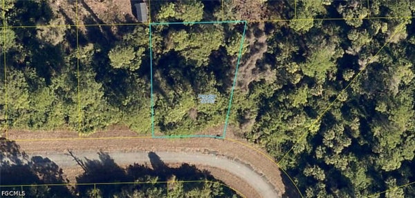 715 EUGENE CERNAN DR, LA BELLE, FL 33935 - Image 9e39f4d52ca9d8e6ada67691ca0900e1/355141383