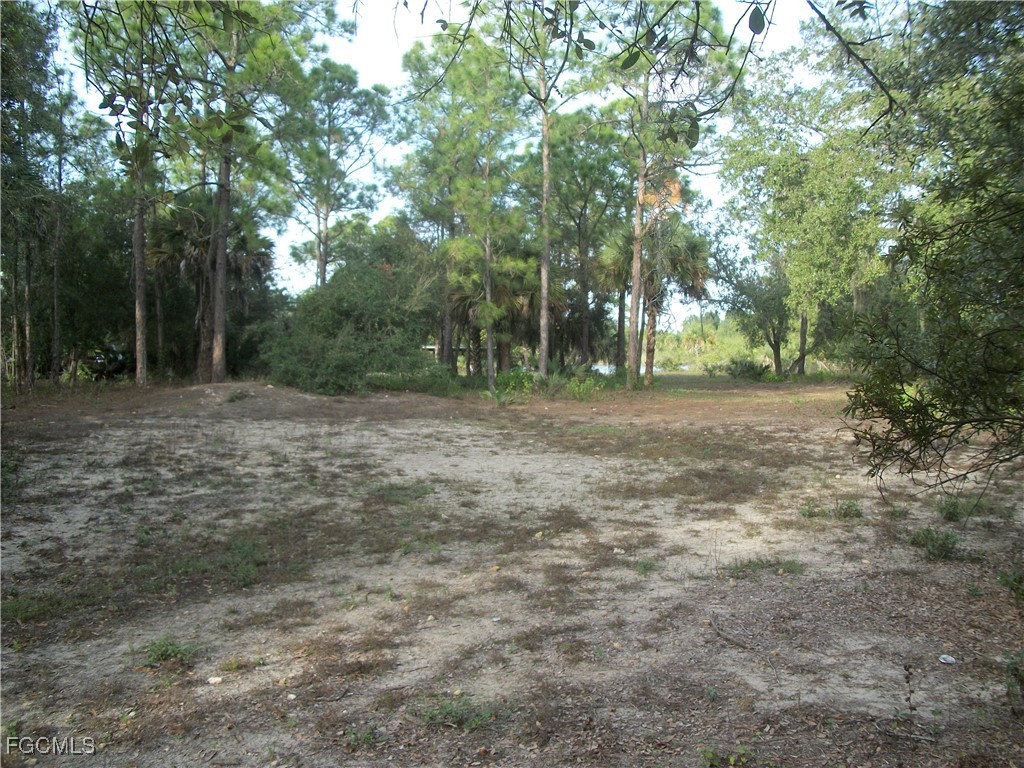 123 Pine Lake Avenue