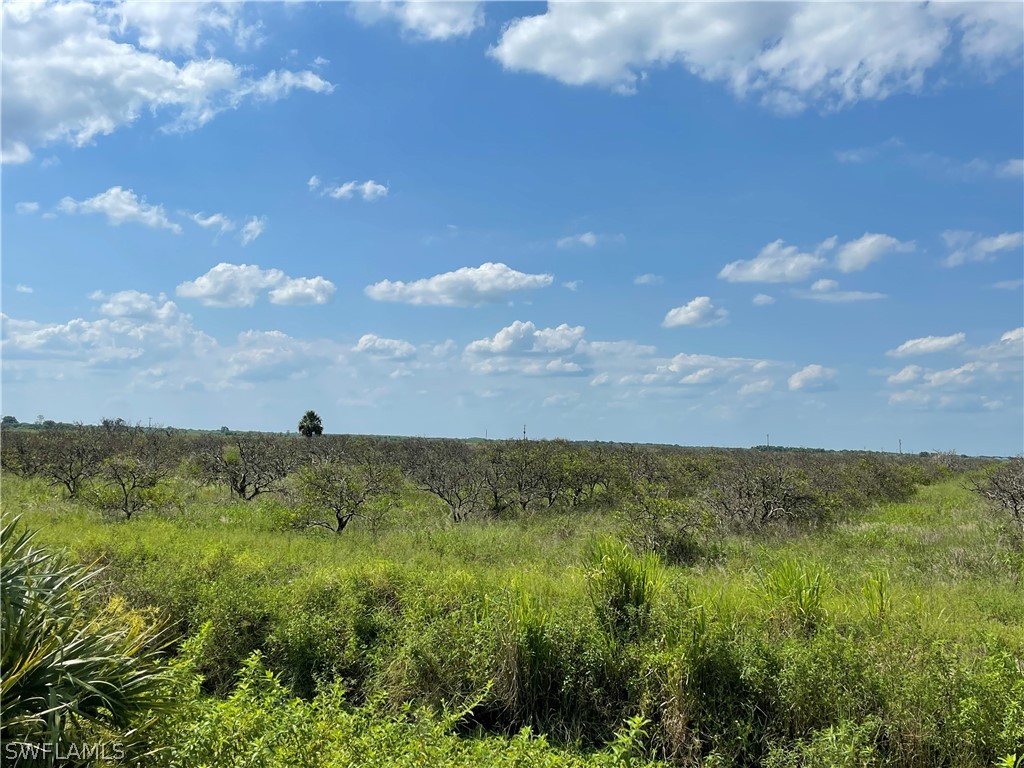 Sears Road