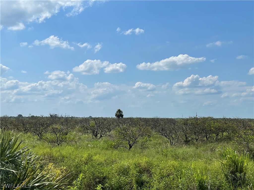 Sears Road