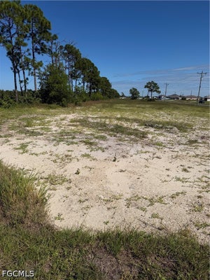 911 WILMINGTON PKWY, CAPE CORAL, FL 33993 - Image a011789bd5ec3a653c1d4f49ea59ffcd/161818963
