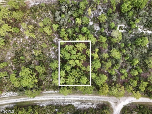 1137 REDBIRD ST, LAKE PLACID, FL 33852 - Image a05e95d4393a2efcad75508d99ee05cb/856676376