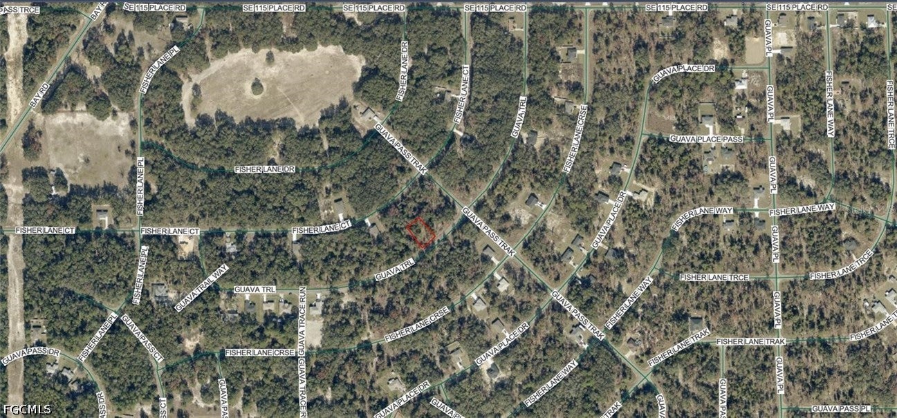 9038-1252-28 Guava Trail