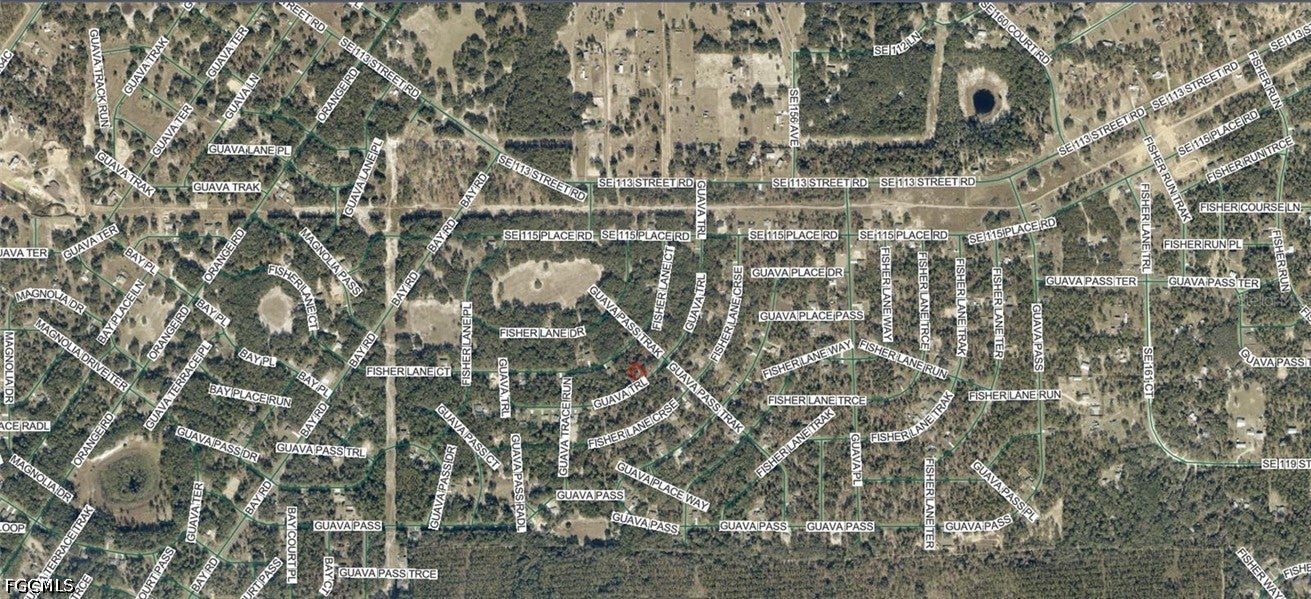 9038-1252-28 Guava Trail