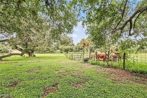 Tiny photo for 23150 N River Road, Alva, FL 33920 (MLS # 2026039300)