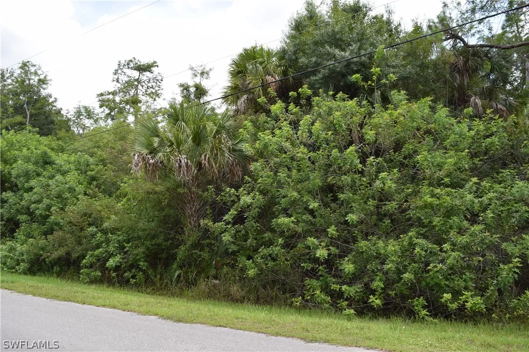 Naples, Florida 34120, United States, ,Land,Active,213174