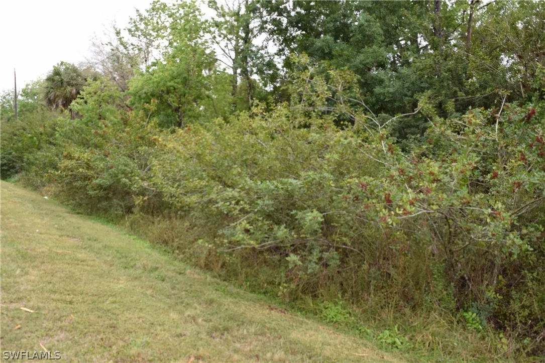 Naples, Florida 34120, United States, ,Land,Active,213174