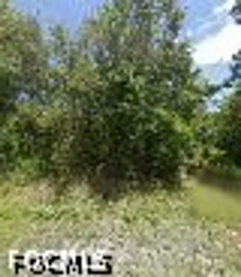 Photo of 245 N Romero Street, Clewiston, FL 33440 (MLS # 2026019020)