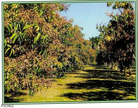 Tiny photo for Bokeelia, FL 33922 (MLS # 2026018533)