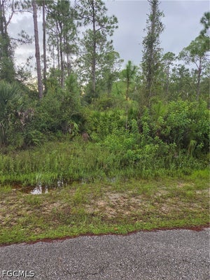 2303 TRUMAN AVE, ALVA, FL 33920 - Image a87a08ec85c58b37a46d3d199feb4613/2134068328