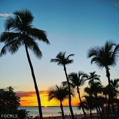 809 Bell Boulevard S