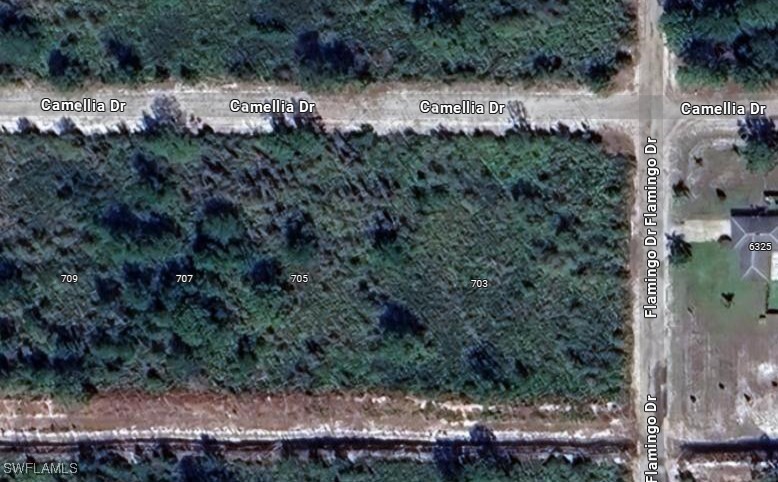 Listing image 1