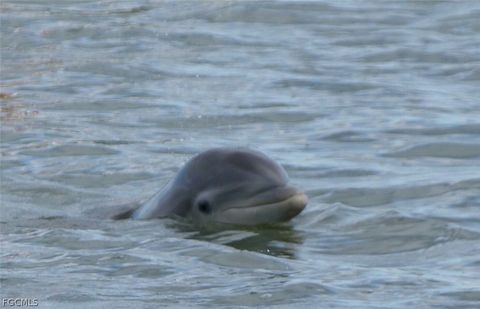 Tiny photo for 4100 Steamboat Bend E #101, Fort Myers, FL 33919 (MLS # 2026005540)