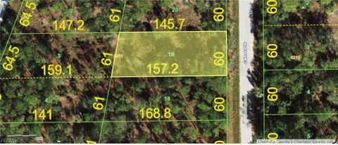 13155 Caloosa Drive Punta Gorda FL 33955