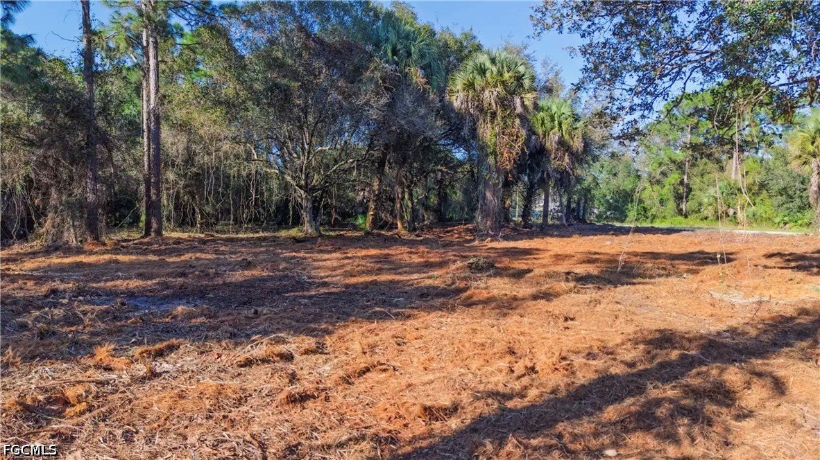 339 Perimeter Road