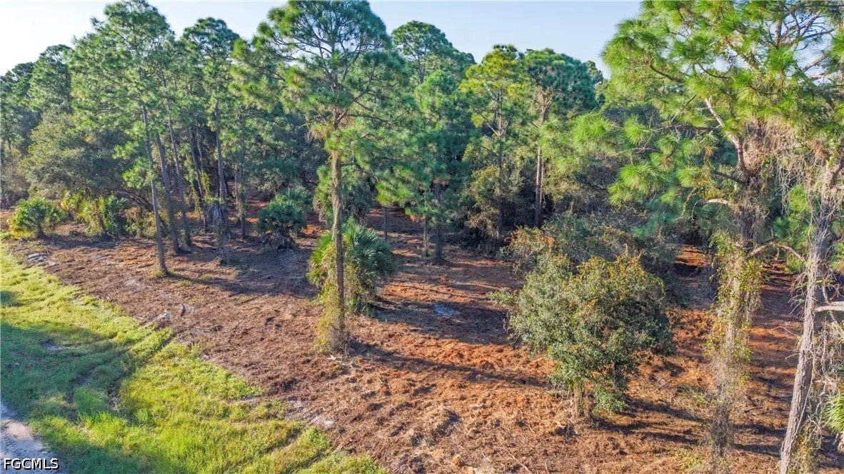 339 Perimeter Road
