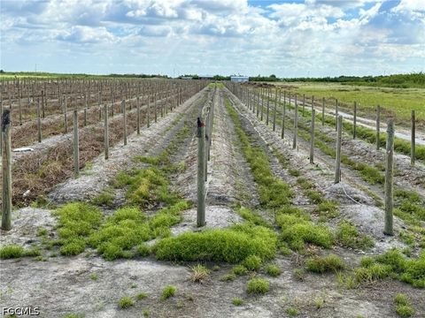 Photo of 5567 5th Road, Labelle, FL 33935 (MLS # 2026015205)