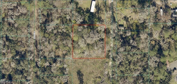 421 SE HWY 42, SUMMERFIELD, FL 34491 - Image b7a1ab028dec9ae1ae09ea5ca8cc796c/3904530416