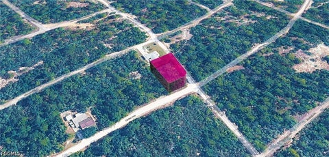 Photo of 344 Cartier Avenue, Lake Placid, FL 33852 (MLS # 2026036687)