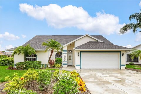 13460 Wild Cotton Court North Fort Myers FL 33903