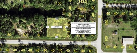 Photo of 26140 Flower Road, Punta Gorda, FL 33955 (MLS # 2026020490)